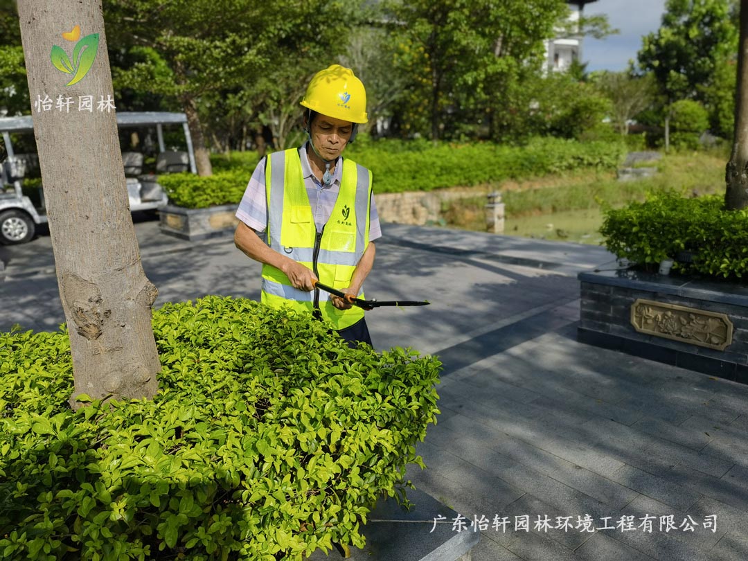 s14投注园林绿化公司养护人员正在修剪